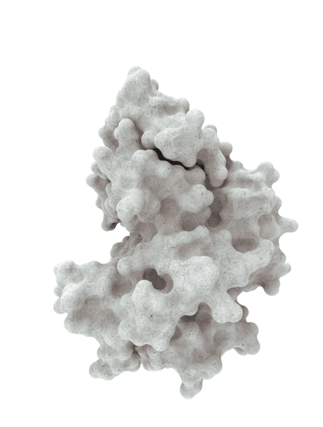 A protein
