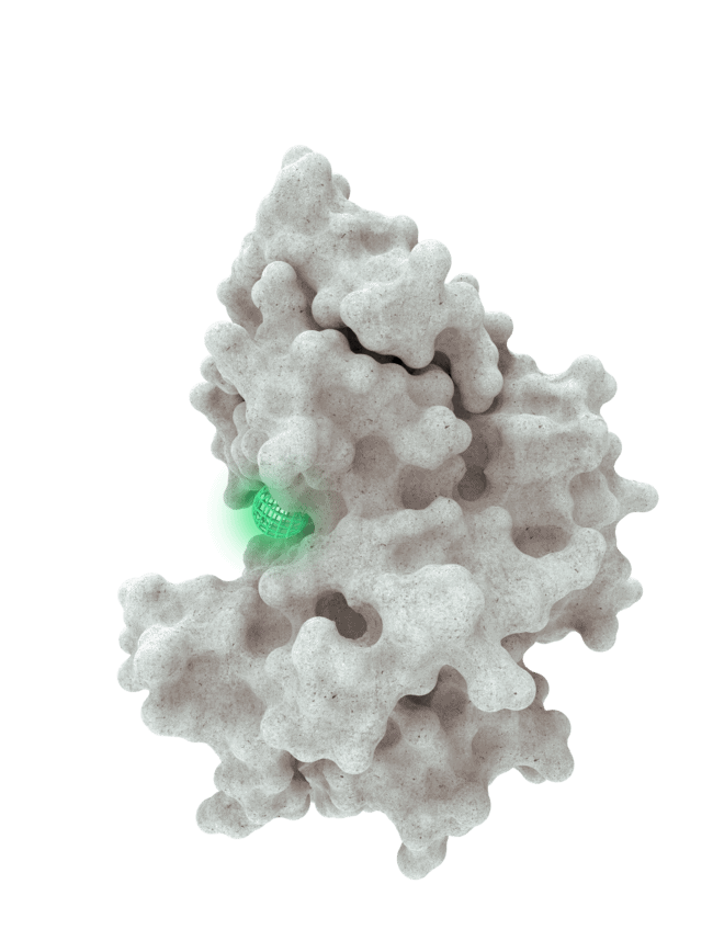 A protein