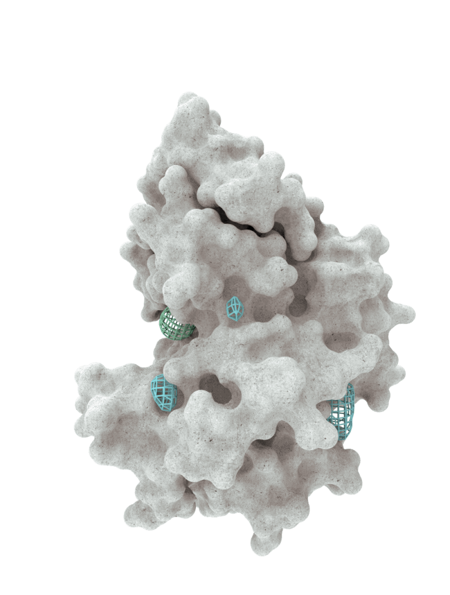 A protein