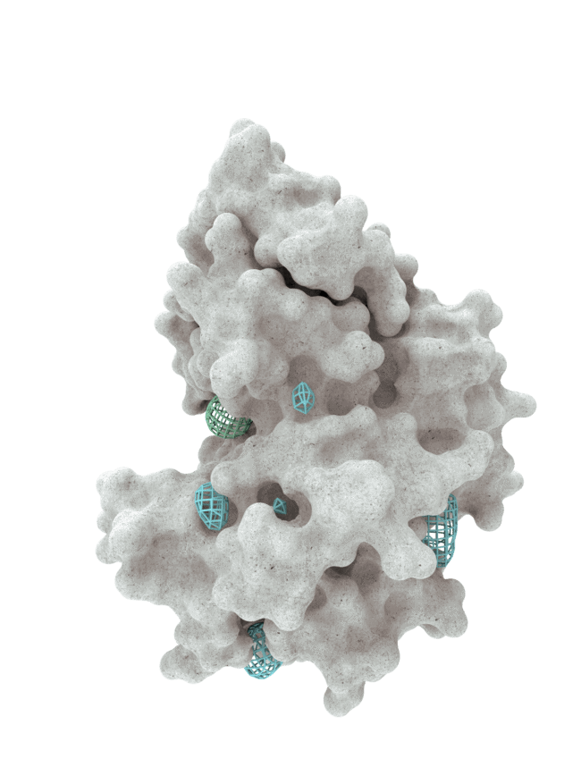 A protein