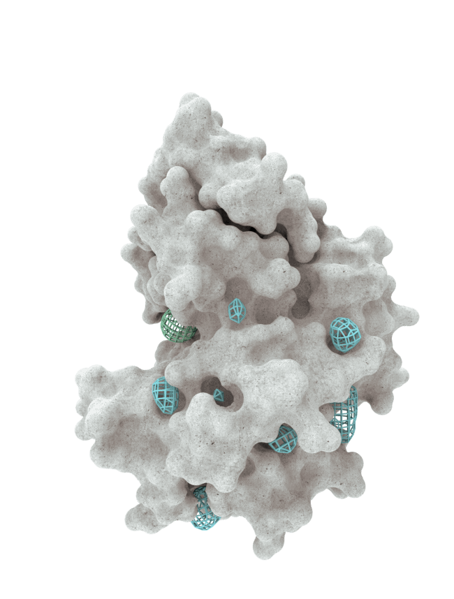 A protein