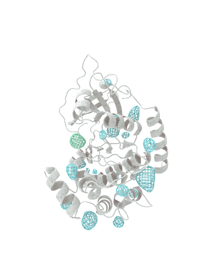 A protein