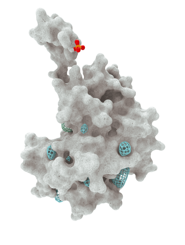 A protein