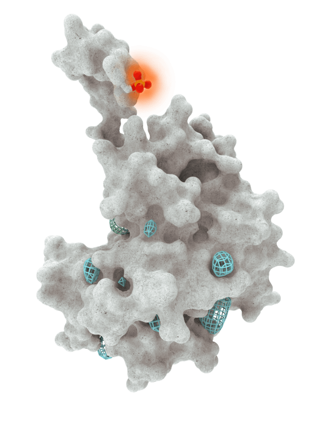 A protein