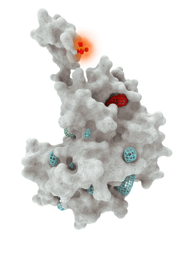 A protein