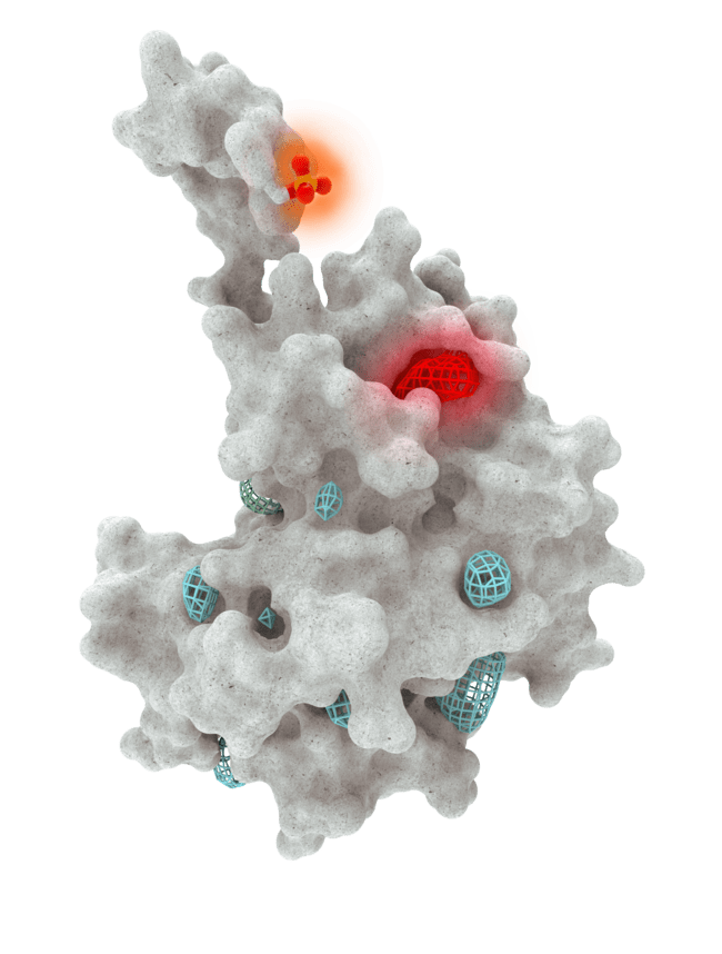 A protein